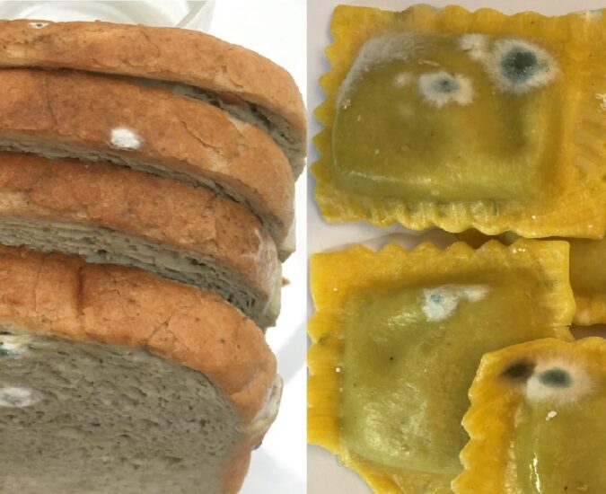 La muffa sulla pasta e pane